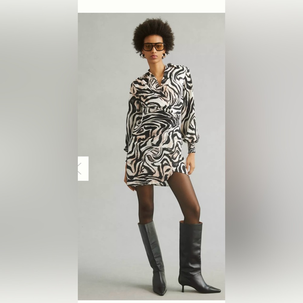 Anthropology Chic Zebra Print mini Dress size large